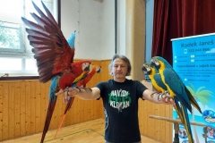 Papoušci-07