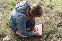 Podzim-keška-Zvole-ŠK-04