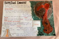 Přírodopis-9.ročník-10