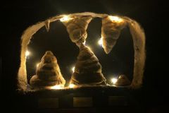 Přírodopis-9.ročník-13