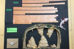 Přírodopis-9.ročník-15