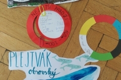 Savci-pod-olympijskými-kruhy-07