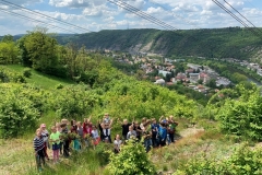 Homol-123-květen-2021-07