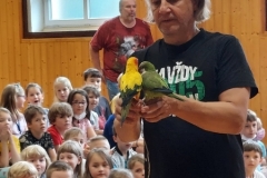 8_