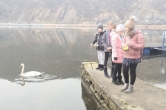 ŠK - Krmení labutí na Vltavě - březen 2022