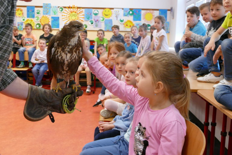 Program „Ptáci na obzoru“