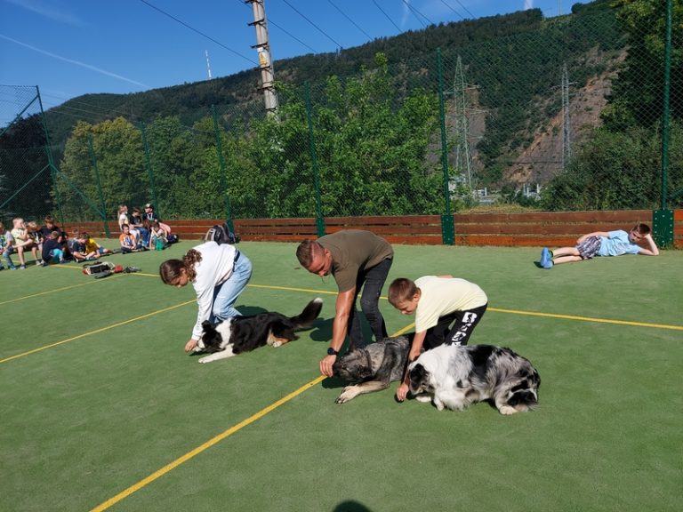 Beseda o sportovní kynologii 29. 6. 2021